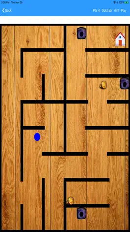 Game screenshot AmazedMaze Pro apk