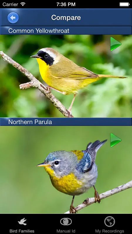 Bird Song Id Canada birdsongs screenshot 3 of 5