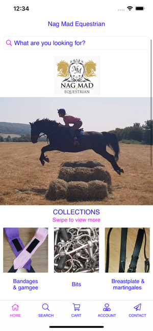 Nag Mad Equestrian(圖2)-速報App