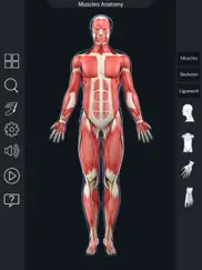 my muscle anatomy ipad resimleri 2