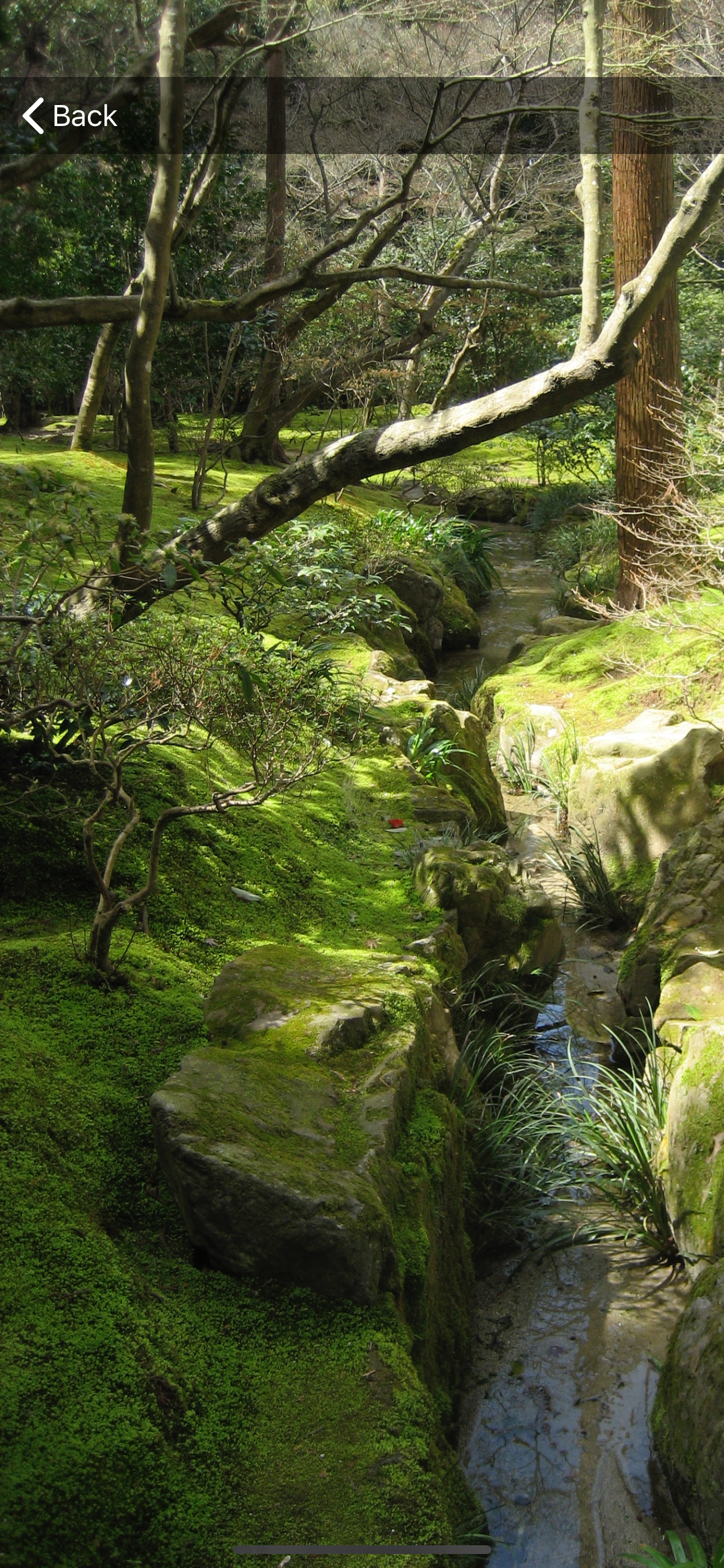 Zen Moments