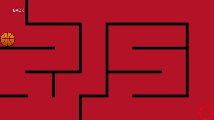 Mystery of Basketball screenshot-3