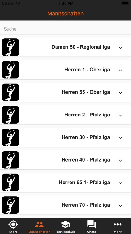 Tennisclub SW Bad Dürkheim screenshot-3