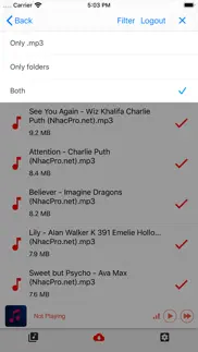 music player offline problems & solutions and troubleshooting guide - 1