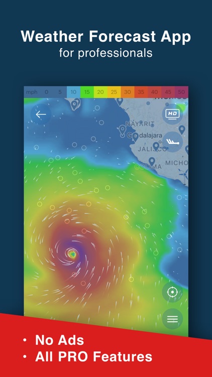 Windy Pro: marine weather app