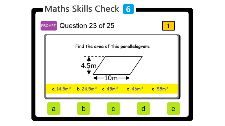 PAM Maths Skills Check 3 screenshot-5