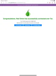 red onion ii: tor-powered web айпад изображения 2