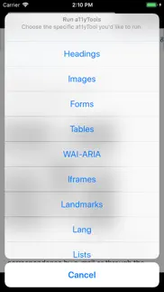 a11ytools - web accessibility iphone screenshot 3
