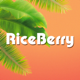 Riceberry | суши, роллы, вок