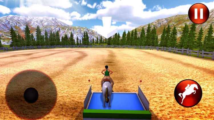 Horse Riding 3D: Show Jumping screenshot-3