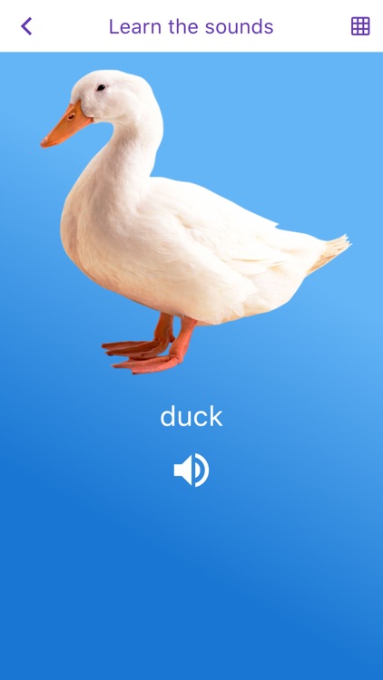 Animal sounds & images