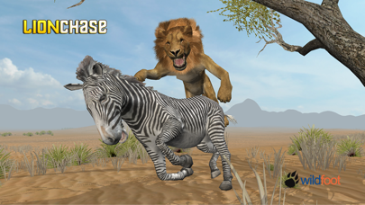 Lion Chase Screenshot
