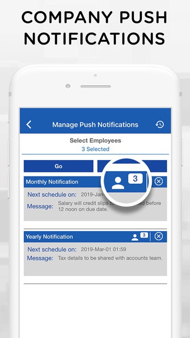 iTimePunch Plus Time Sheet App Screenshot