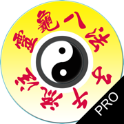 子午靈龜