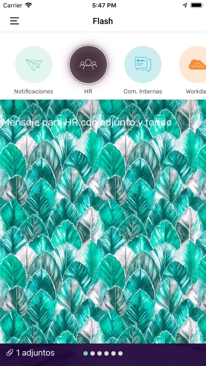 Flash App screenshot-4