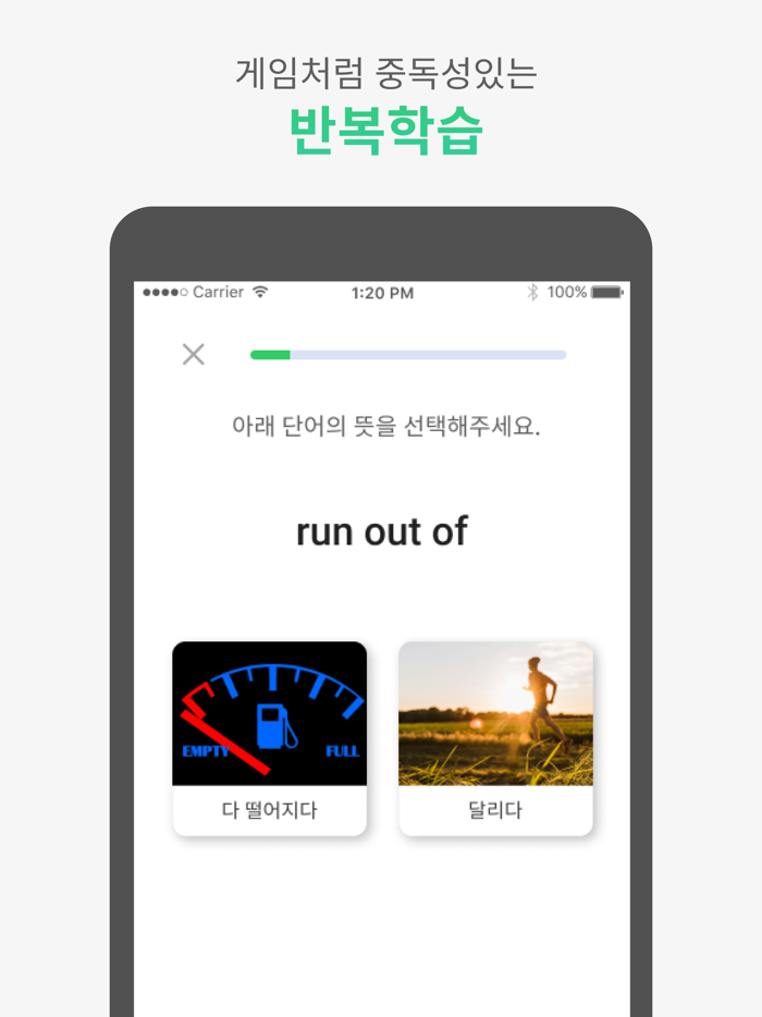 인스팅고Instingo