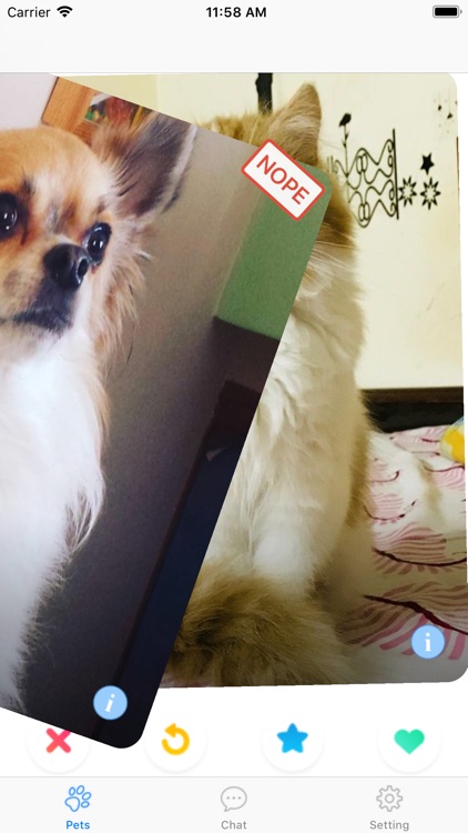 My Pet Dating screenshot-3