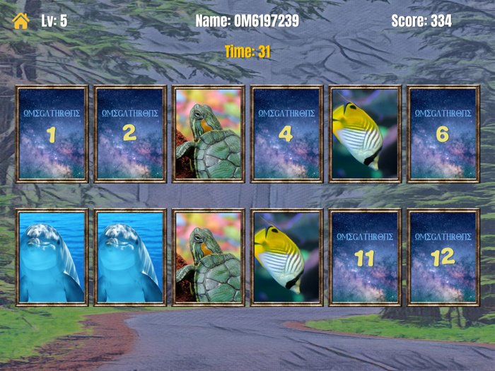 OmegaMatching for iPad