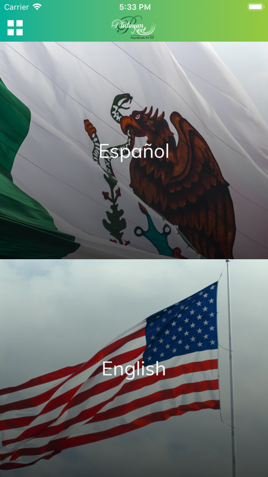 Platinum Next Emprende iPhone screenshot 6 - Business app