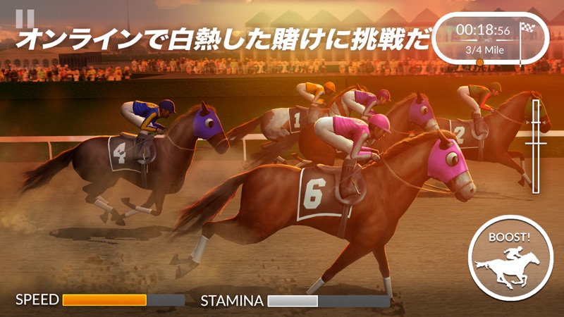 Photo Finish Horse Racing screenshot 2