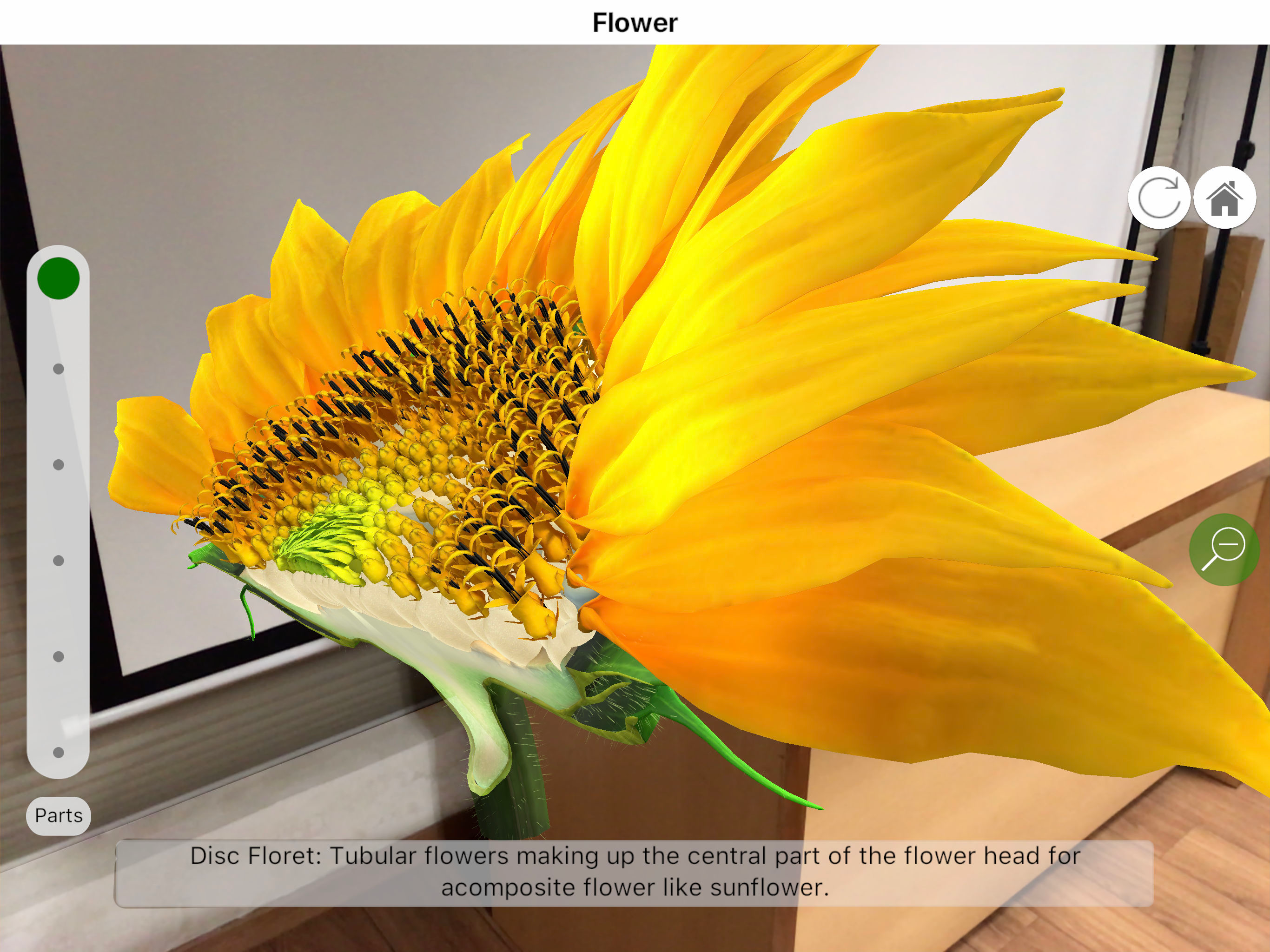 Plantale screenshot 11