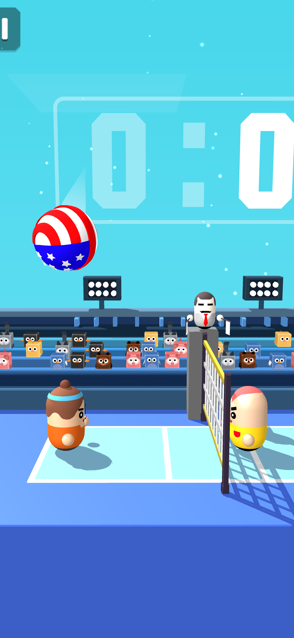 Play Volleyball 2020