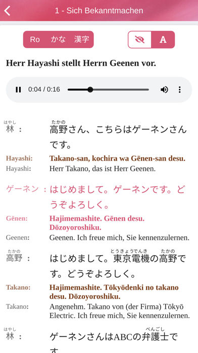 Japanisch im Sauseschritt 1 Screenshot