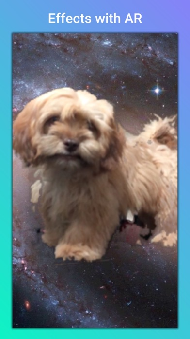 Screenshot #2 pour Puppy+