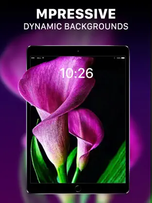Immagine di 2 Fondo de Pantalla Transparente iphone