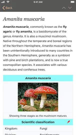 Captura de pantalla de Fungi en iPhone 5