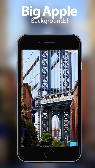 Screenshot #2 pour New York Wallpapers & Themes