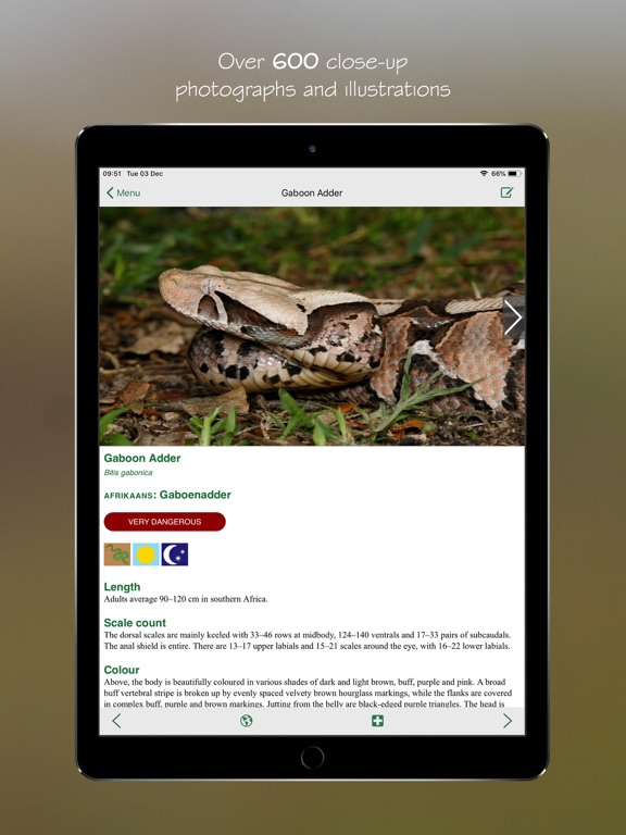 Screenshot #4 for eSnakes Southern Africa