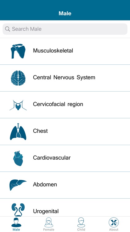 Radiology Measurements