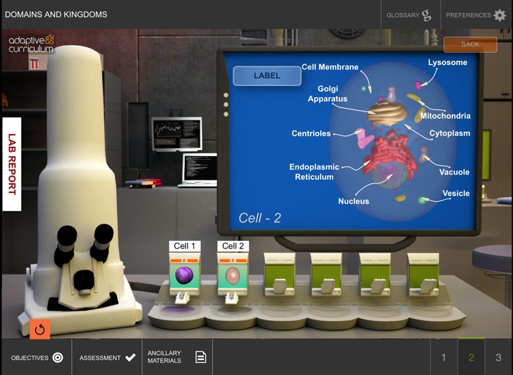 Domains and Kingdoms