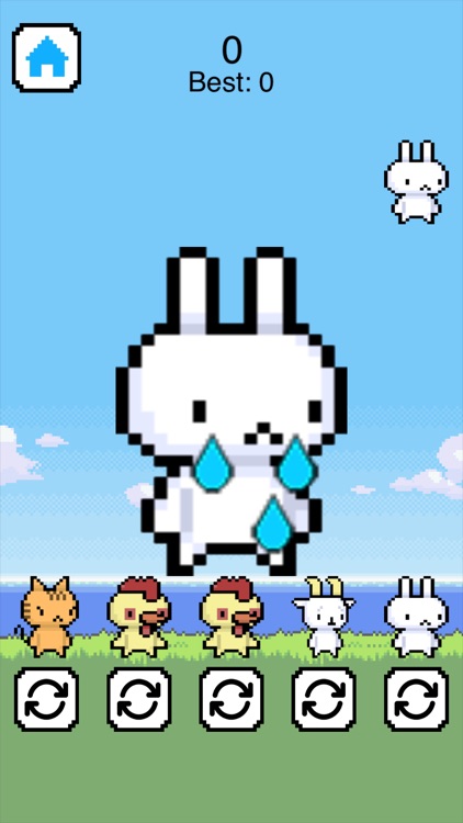 ANIMA CHAN screenshot-4