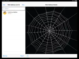 Web Address screenshot 9