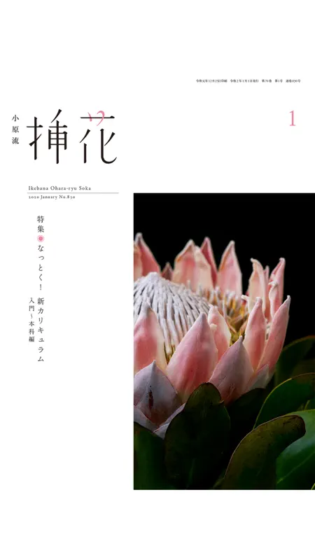 小原流eBooks screenshot 1 of 5