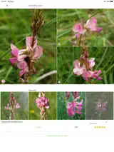 PlantNet 2