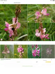 PlantNet ipad bilder 1