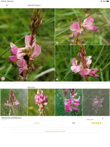 PlantNet 2