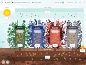 Matter & Energy in Ecosystems screenshot #1 for iPad
