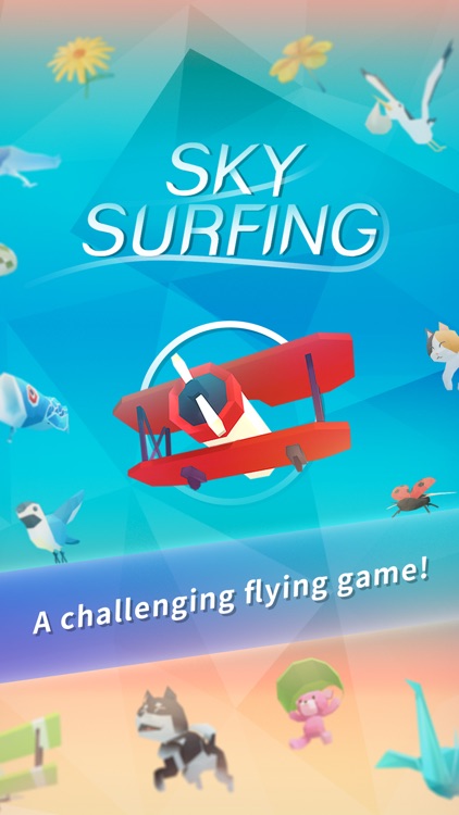 Sky Surfing screenshot-0