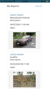 San José 311 screenshot