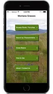 montana grasses problems & solutions and troubleshooting guide - 2