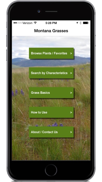 Montana Grasses Screenshot