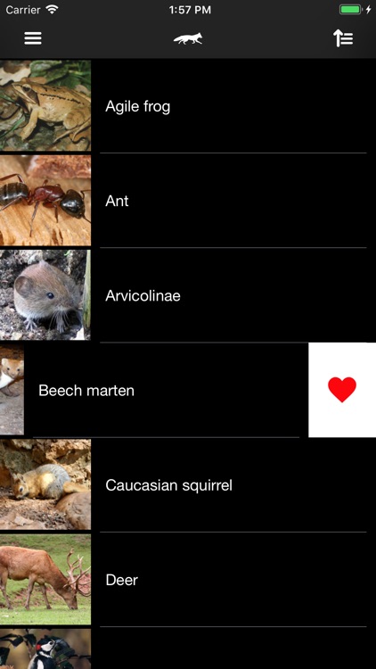 Animals 2.0