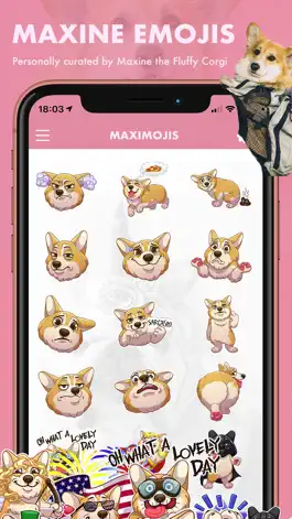 Game screenshot MaxiMojis - Corgi dog stickers apk