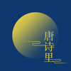 Tang Poetry Tells - 洪跃 管