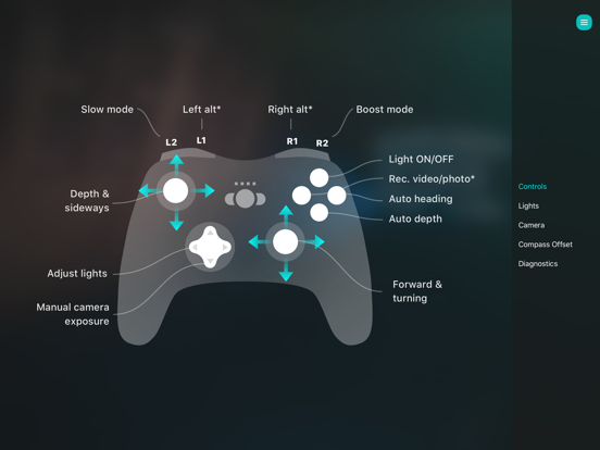 Blueye Screenshot 6