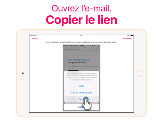 Screenshot #5 pour WeDownload par Solodigitalis